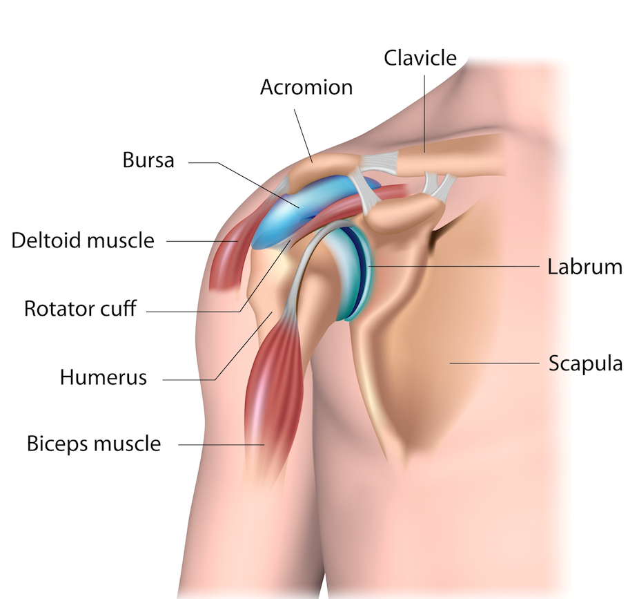 Shoulder impingement | | Shoulder Pain | Your Pilates Physio